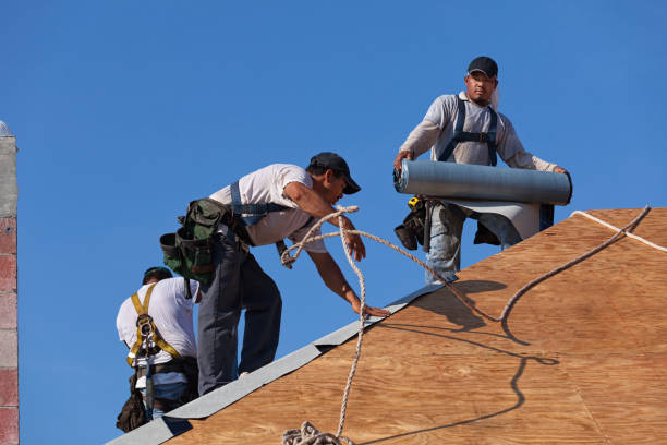 Best Residential Roofing Contractor  in Leipsic, OH
