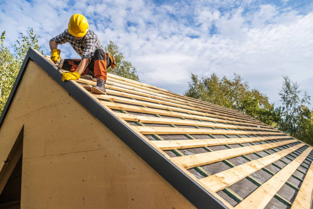 Roof Gutter Cleaning in Leipsic, OH