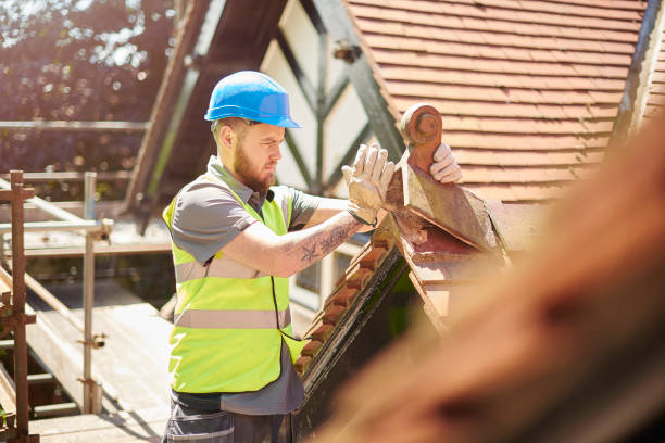 Best Shingle Roofing Installation  in Leipsic, OH